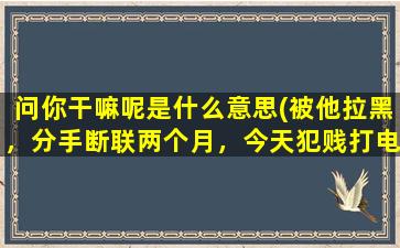 问你干嘛呢是什么意思(被他拉黑，分手断联两个月，今天犯贱打电话居然通了，他还回电话过来，问我干嘛呢，哪等等，这啥意思)