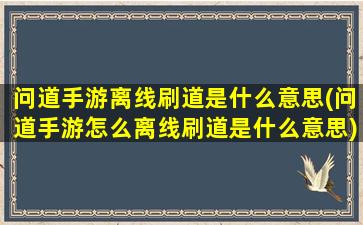 问道手游离线刷道是什么意思(问道手游怎么离线刷道是什么意思)