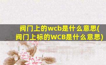 阀门上的wcb是什么意思(阀门上标的WCB是什么意思)