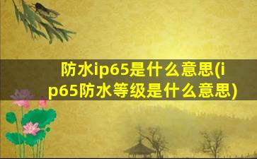 防水ip65是什么意思(ip65防水等级是什么意思)