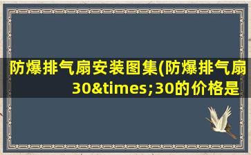 防爆排气扇安装图集(防爆排气扇30×30的价格是多少)