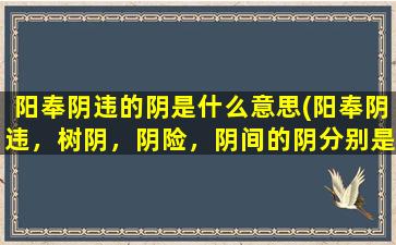 阳奉阴违的阴是什么意思(阳奉阴违，树阴，阴险，阴间的阴分别是什么意思)