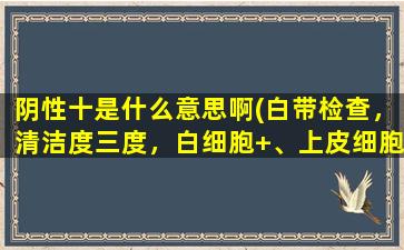 阴性十是什么意思啊(白带检查，清洁度三度，白细胞+、上皮细胞+，其他阴性，是什么意思)