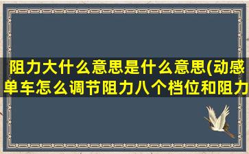 阻力大什么意思是什么意思(动感单车怎么调节阻力八个档位和阻力是什么关系)