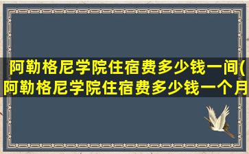 阿勒格尼学院住宿费多少钱一间(阿勒格尼学院住宿费多少钱一个月)