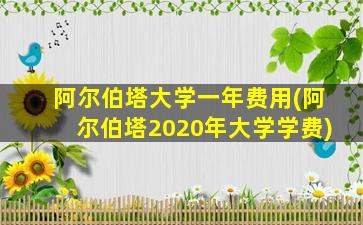 阿尔伯塔大学一年费用(阿尔伯塔2020年大学学费)