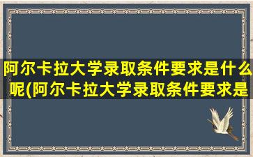 阿尔卡拉大学录取条件要求是什么呢(阿尔卡拉大学录取条件要求是什么样的)