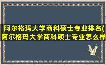 阿尔格玛大学商科硕士专业排名(阿尔格玛大学商科硕士专业怎么样)