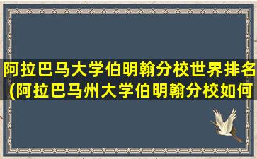 阿拉巴马大学伯明翰分校世界排名(阿拉巴马州大学伯明翰分校如何)