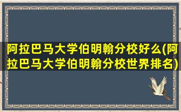 阿拉巴马大学伯明翰分校好么(阿拉巴马大学伯明翰分校世界排名)