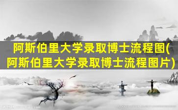 阿斯伯里大学录取博士流程图(阿斯伯里大学录取博士流程图片)