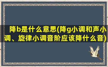 降b是什么意思(降g小调和声小调、旋律小调音阶应该降什么音)