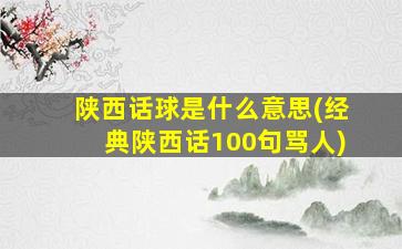 陕西话球是什么意思(经典陕西话100句骂人)