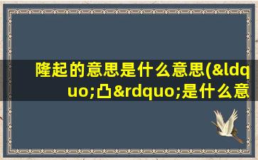 隆起的意思是什么意思(“凸”是什么意思)