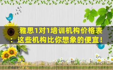 雅思1对1培训机构价格表：这些机构比你想象的便宜！