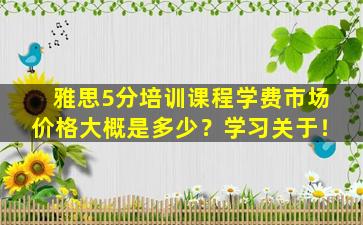 雅思5分培训课程学费市场价格大概是多少？学习关于！