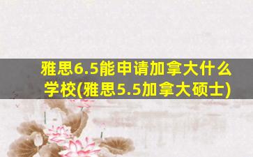 雅思6.5能申请加拿大什么学校(雅思5.5加拿大硕士)