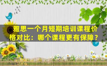 雅思一个月短期培训课程价格对比：哪个课程更有保障？