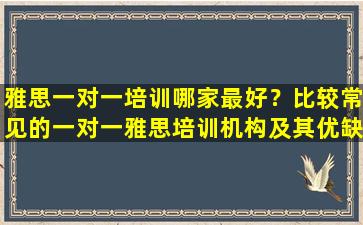 雅思一对一培训哪家最好？比较常见的一对一雅思培训机构及其优缺点分析