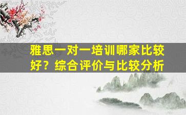 雅思一对一培训哪家比较好？综合评价与比较分析