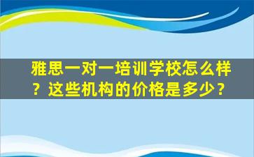 雅思一对一培训学校怎么样？这些机构的价格是多少？