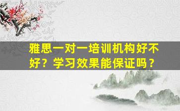 雅思一对一培训机构好不好？学习效果能保证吗？