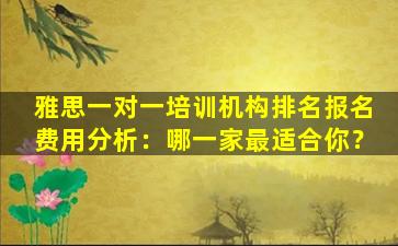 雅思一对一培训机构排名报名费用分析：哪一家最适合你？