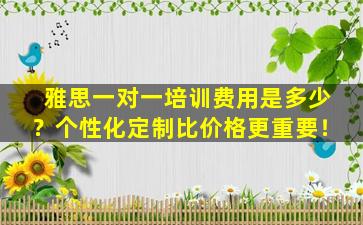 雅思一对一培训费用是多少？个性化定制比价格更重要！