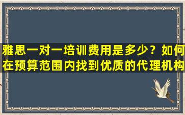 雅思一对一培训费用是多少？如何在预算范围内找到优质的代理机构？