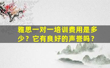 雅思一对一培训费用是多少？它有良好的声誉吗？