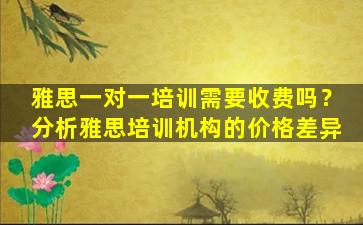 雅思一对一培训需要收费吗？分析雅思培训机构的价格差异