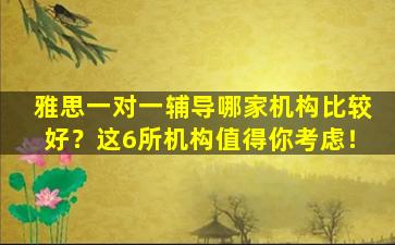 雅思一对一辅导哪家机构比较好？这6所机构值得你考虑！