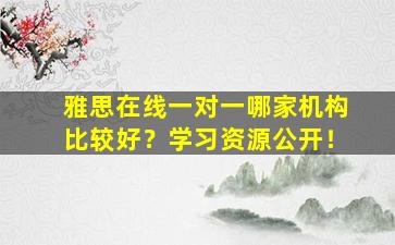 雅思在线一对一哪家机构比较好？学习资源公开！