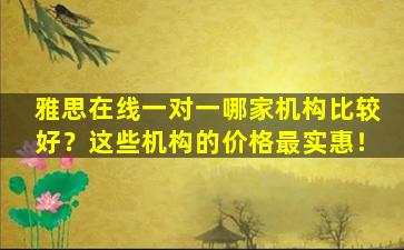 雅思在线一对一哪家机构比较好？这些机构的价格最实惠！