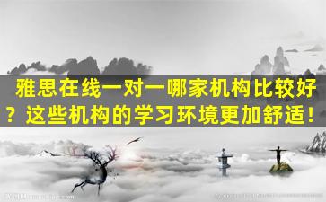 雅思在线一对一哪家机构比较好？这些机构的学习环境更加舒适！