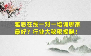 雅思在线一对一培训哪家最好？行业大秘密揭晓！