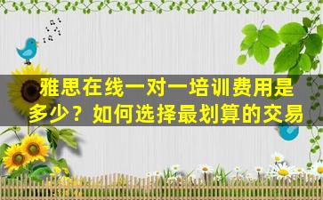 雅思在线一对一培训费用是多少？如何选择最划算的交易