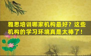 雅思培训哪家机构最好？这些机构的学习环境真是太棒了！