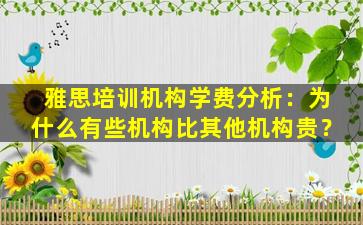 雅思培训机构学费分析：为什么有些机构比其他机构贵？