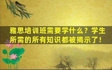 雅思培训班需要学什么？学生所需的所有知识都被揭示了！