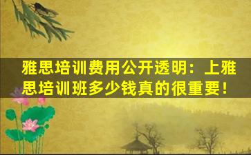 雅思培训费用公开透明：上雅思培训班多少钱真的很重要！