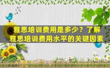 雅思培训费用是多少？了解雅思培训费用水平的关键因素