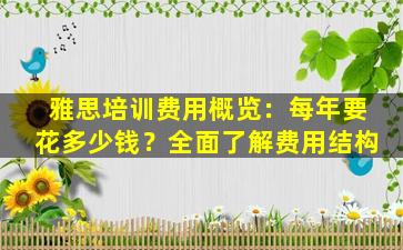 雅思培训费用概览：每年要花多少钱？全面了解费用结构