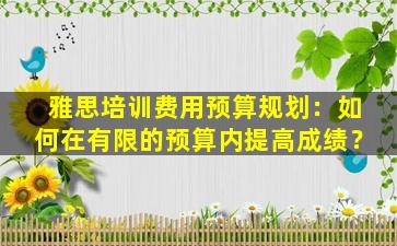 雅思培训费用预算规划：如何在有限的预算内提高成绩？