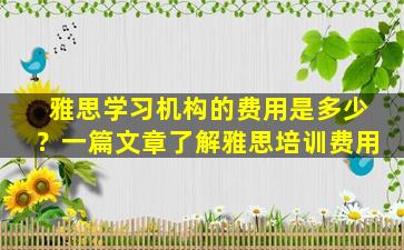 雅思学习机构的费用是多少？一篇文章了解雅思培训费用