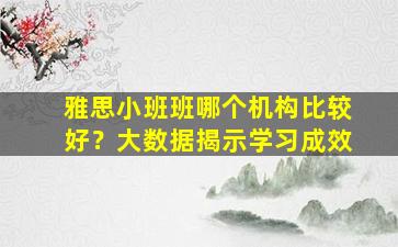 雅思小班班哪个机构比较好？大数据揭示学习成效