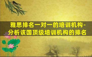 雅思排名一对一的培训机构-分析该国顶级培训机构的排名