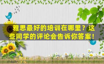 雅思最好的培训在哪里？这些同学的评论会告诉你答案！