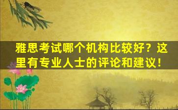 雅思考试哪个机构比较好？这里有专业人士的评论和建议！