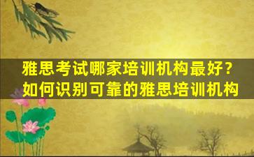 雅思考试哪家培训机构最好？如何识别可靠的雅思培训机构